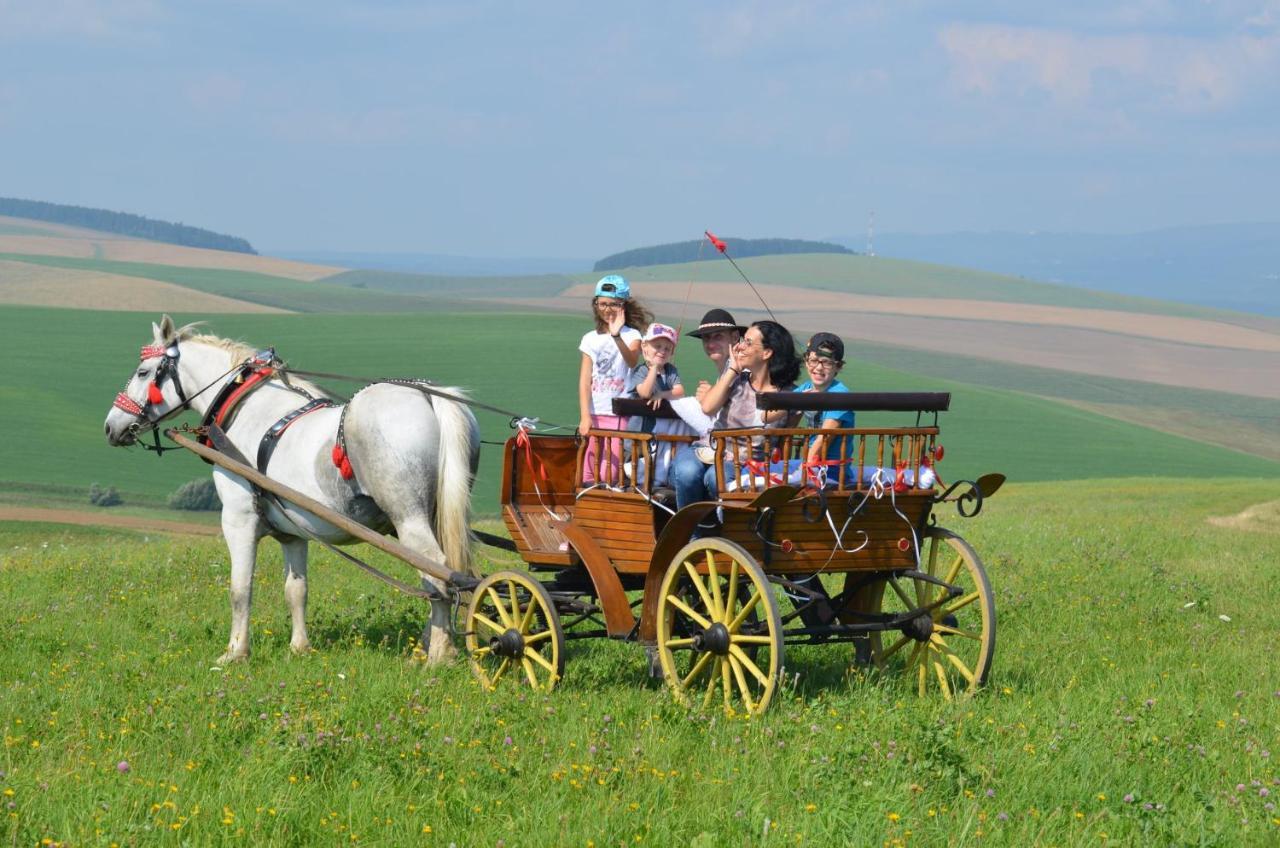 Pezion Limbovy Dvor Hotell Vrbov Exteriör bild